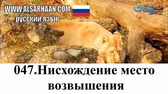 046   047 Нисхождение Место Возвышения