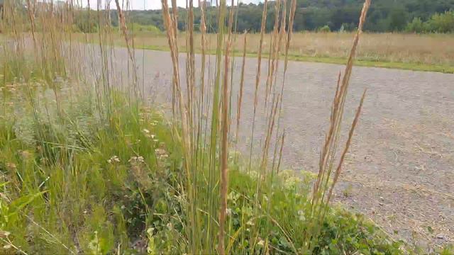 Москва. Терехово, Крылатский мост. смотреть онлайн