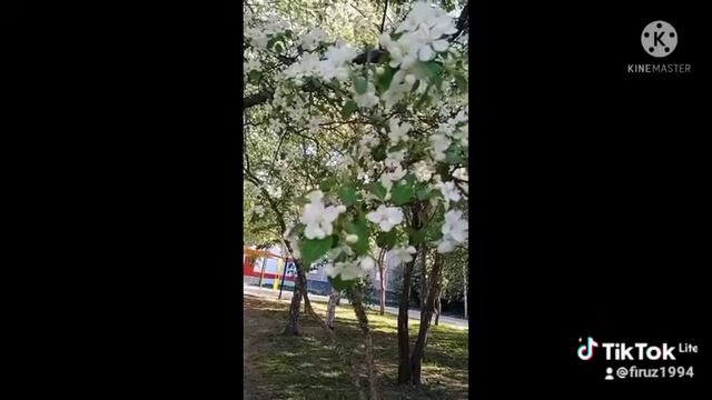 Весна в Екатеринбург смотреть онлайн