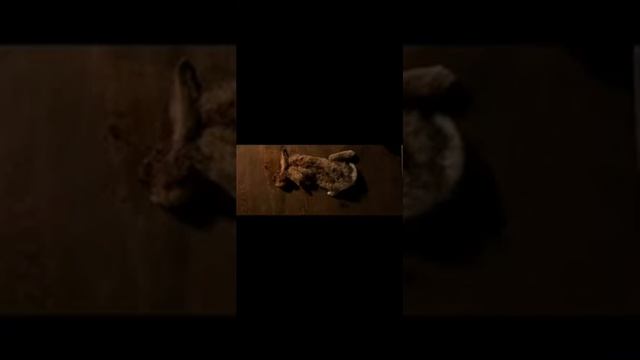 The Grand Mafia (Гайд) - ошибки новичков,про КЕ и многое другое смотреть онлайн