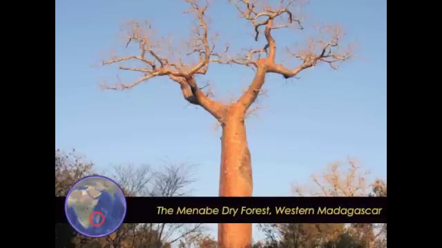 The Durrell Lecture 2009