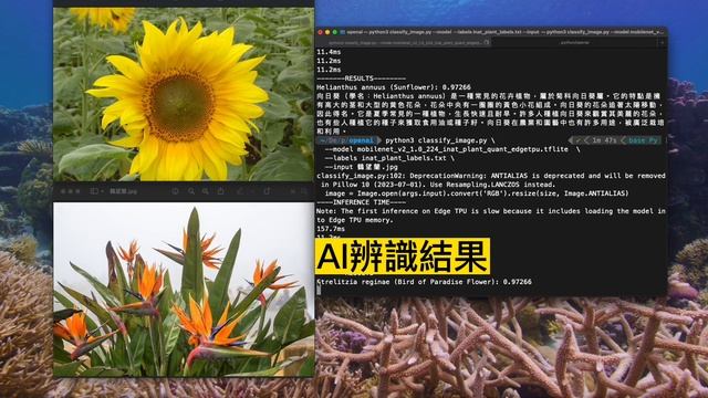「備課漢?Demo」自製AI語音介紹花朵程式，使用Python+AI影像辨識+ChatGPT API+gTTS，串接ChatGPT範例程式碼請見說明欄 смотреть онлайн