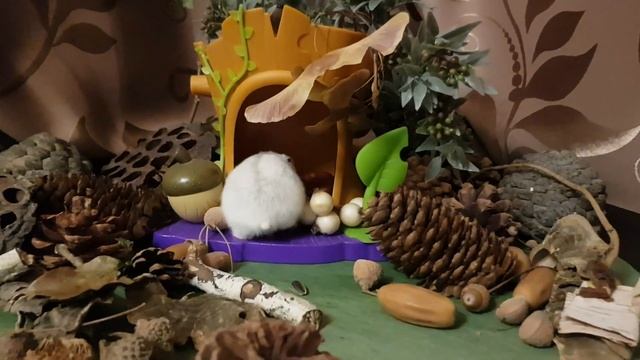 Хомяк в дикой природе. 4 СЕРИЯ: Хамстер бежит домой. Хомяк и Кот снова встретились. Сова VS Хомяк смотреть онлайн