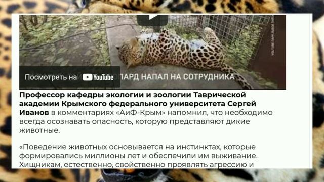 ПРОДОЛЖЕНИЕ АНАЛИЗА КРЫМСКОГО ХОРРОРА с #ягуаром смотреть онлайн