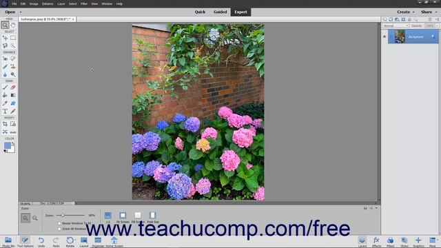 Learn How to Remove Color in Adobe Photoshop Elements 2022: A Training Tutorial смотреть онлайн