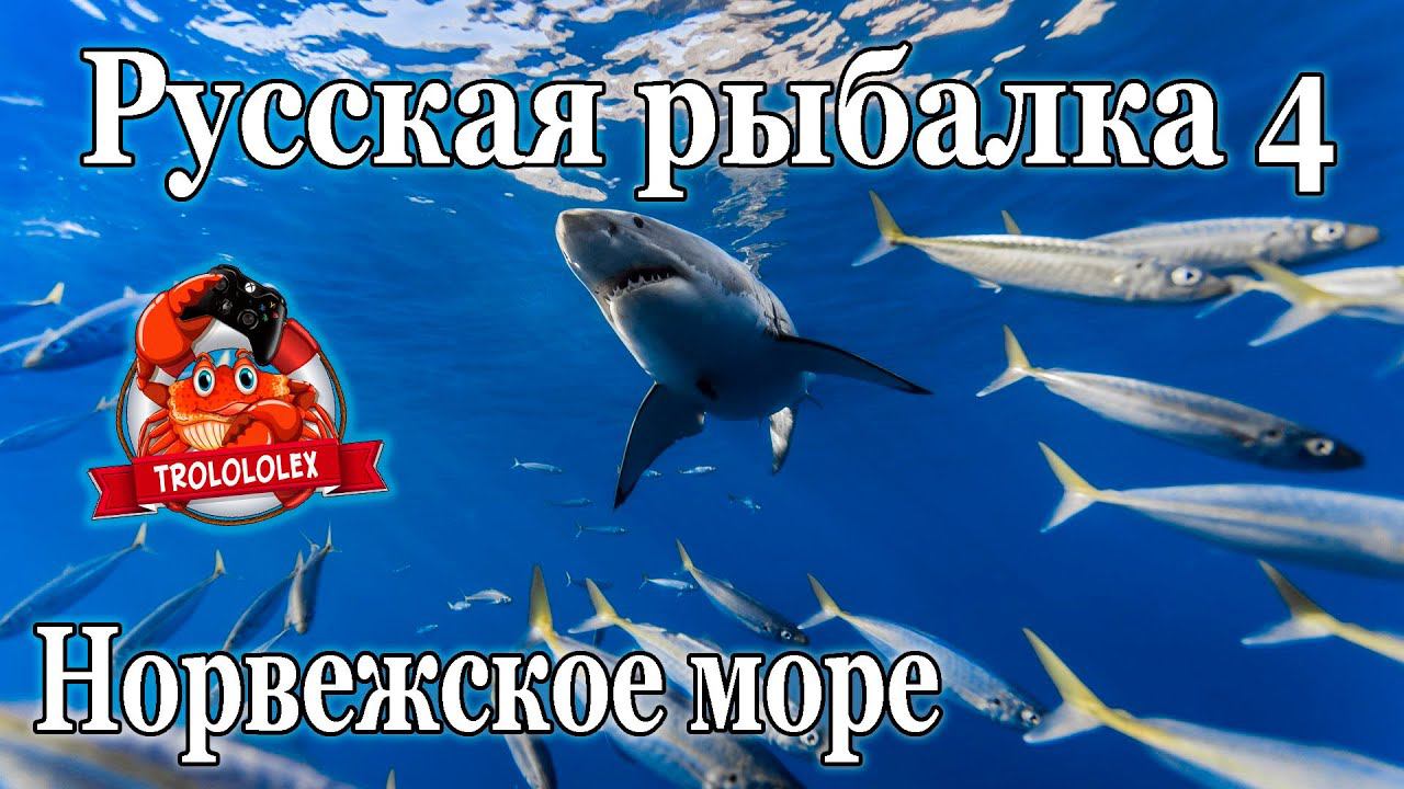 Русская рыбалка 4. Норвежское море. Две акулы смотреть онлайн