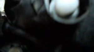 Ssang Yong Kyron-Clan.ru Лампы в задний ход