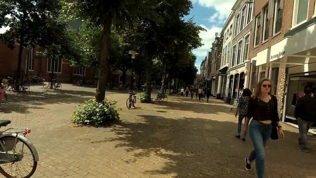 Здравоохранение в Голландии. И печальная новость o Рутгере Хауре. смотреть онлайн