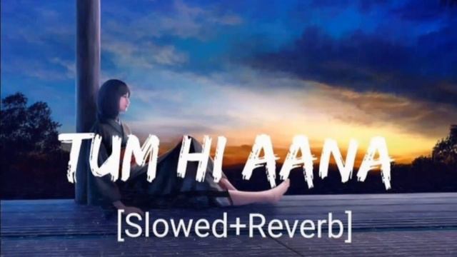 New Hindi Songs 2024 || Tum Hi Aana Marjaavaan Song || Remix Lo-fi Song