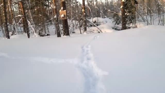 Дача в зимний период. смотреть онлайн