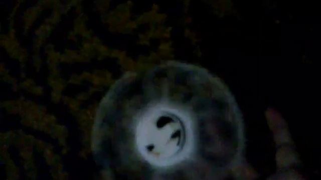 Обзор моево виджет спинера смотреть онлайн