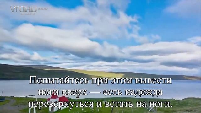 Зимние виды спорта как избежать травм — Статья смотреть онлайн
