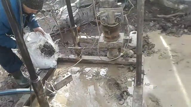 Абесинка с маленьким дебитом смотреть онлайн