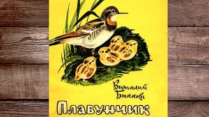 Бианки В. - Плавунчик
