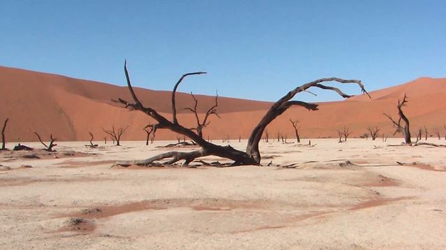 Von singenden Dünen und Wüstengeistern смотреть онлайн