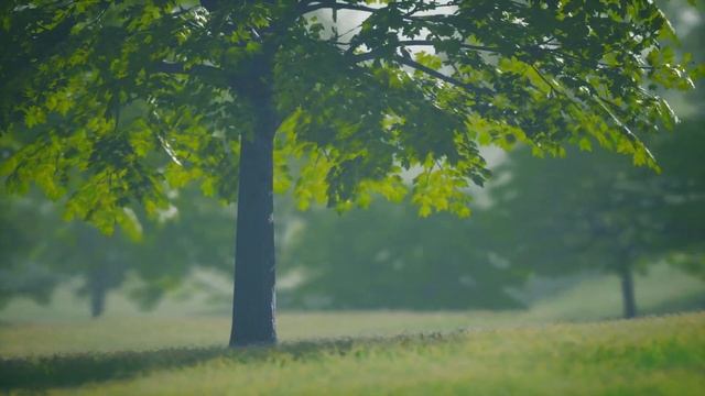 Вот что будет, если ты вернешь бывшую после другого мужчины смотреть онлайн