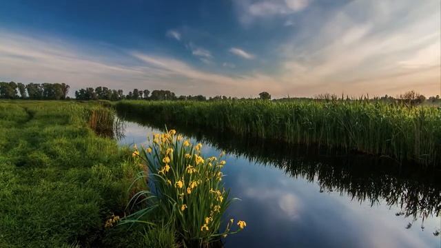 Мантра избавление от бедности смотреть онлайн
