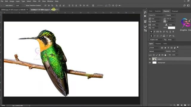 Layer Mask - Adobe Photoshop for Beginners | Layer Mask Effect in Photoshop #Photoshop Tutorial смотреть онлайн