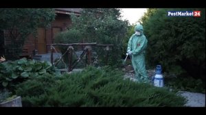 Как избавиться от мух на даче | как навсегда избавиться от мух