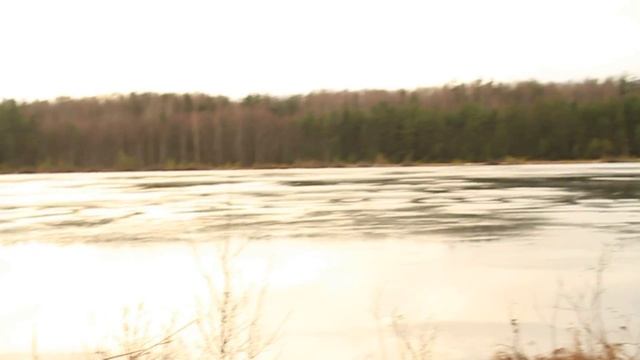 Озеро провального типа "Ченцово". Со всех сторон болото. смотреть онлайн