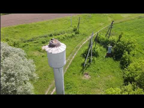 Природа Брянской области с квадрокоптера смотреть онлайн