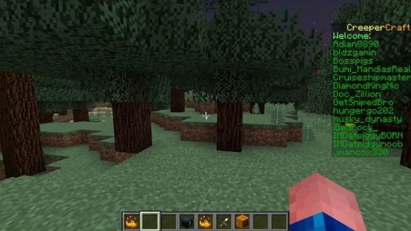 Minecraft Texture & Mod Packs (Etc.) Review: Drugs Resource Pack