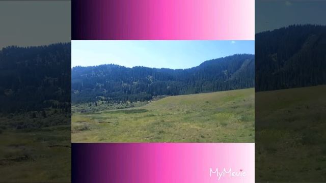 Моя страна! Моя родина! Мой Кыргызстан! смотреть онлайн