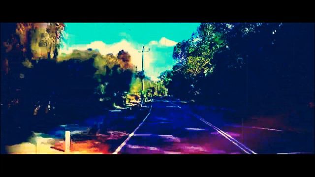 Ibanez Acoustic Amplifier Troubadour 25W. Driving In Oz With A Little Gypsy Jazz Flavour