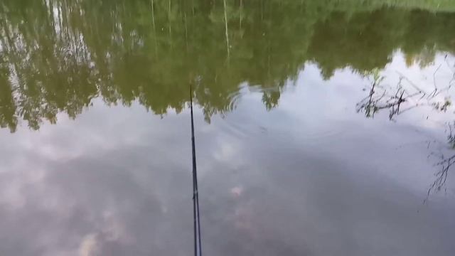 Ловля анчоусов на поплавочную удочку. смотреть онлайн