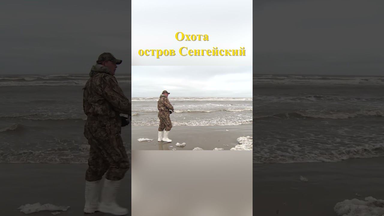 Охота на острове Сенгейский 17 #охотавроссии #охотанагуся смотреть онлайн