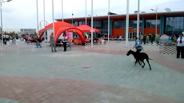 Сочи 27-28 сентября 2014(2) смотреть онлайн