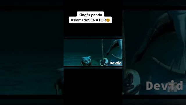 Kungu Fu Panda Senator va Aslamboi Prikol🤣🤣🤣🤣 смотреть онлайн