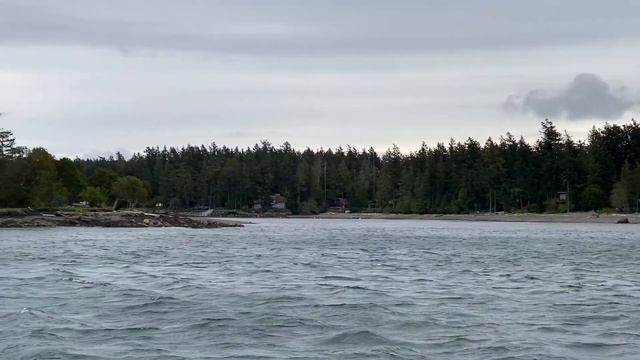 #1309 Остров Сан Хуан Шторм в океане Роуч Харбор Парк скульптур смотреть онлайн