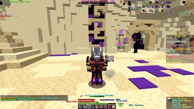 This 20mil Setup can Beat T3 Voidgloom Seraph! (Outdated) (Hypixel Skyblock) смотреть онлайн