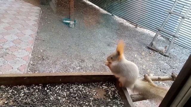 осенний денёк