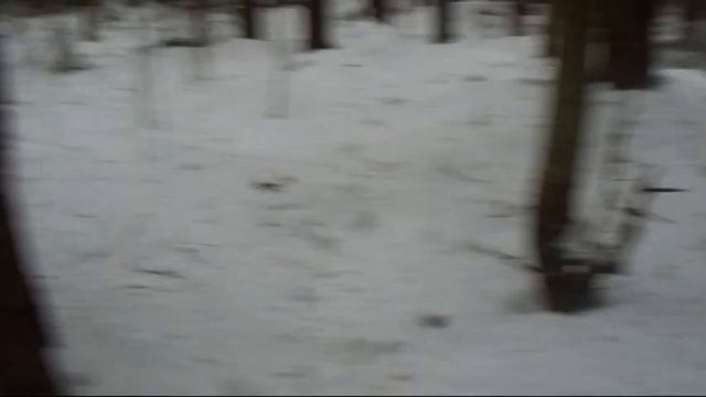 С 23 февраля)))