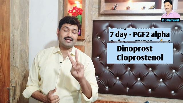 चमत्कार बिना हीट ग्याभिन GPG protocol in cows Buffalo cattle D D Ramawat смотреть онлайн