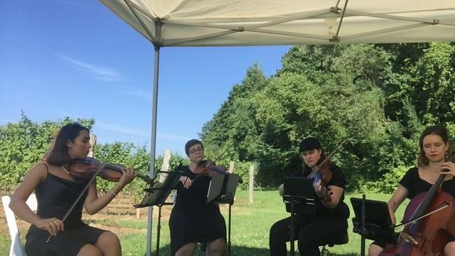 Miley Cyrus – Wrecking ball | Grace Notes String Quartet смотреть онлайн