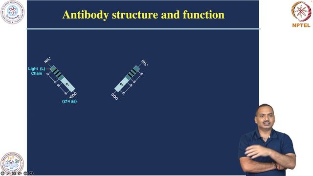 Adaptive Immunity-Antibodies смотреть онлайн