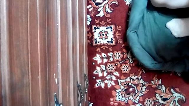 КАК СДЕЛАТЬ ЛЕЖАНКУ СВОЕМУ ПИТОМЦУ!??? смотреть онлайн