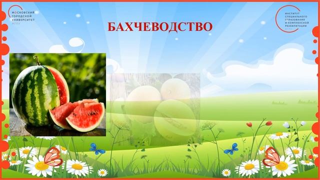 3 класс. Окружающий мир. Растениеводство смотреть онлайн