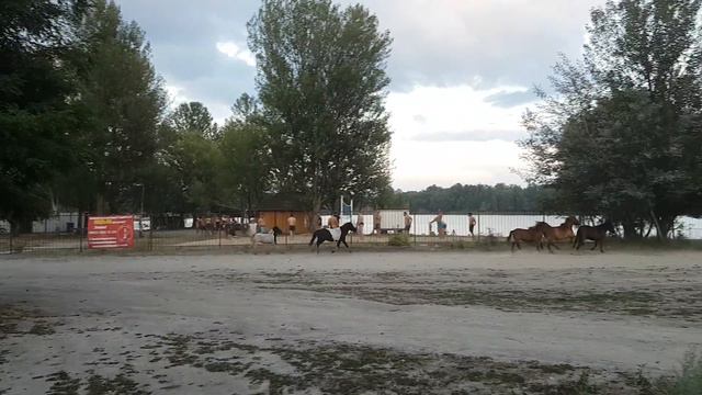 Лошади.Горенка смотреть онлайн