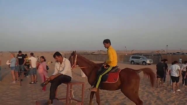 ОАЭ. Арабский конь. смотреть онлайн