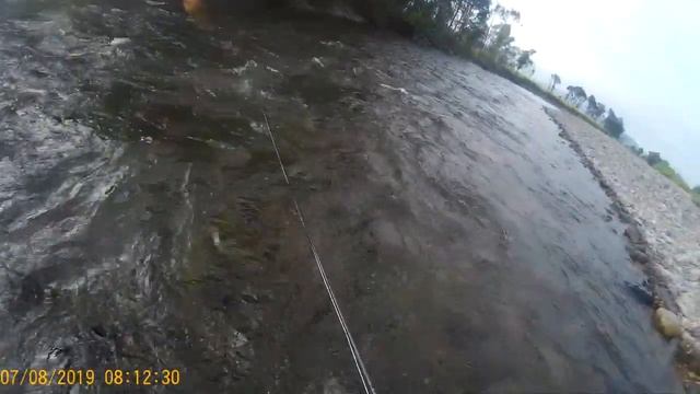 Рыбалка на Сучане, нахлыст и блесна 7.08.19г. смотреть онлайн