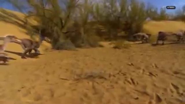 planeta dinosaurio el viaje de tip parte 4 смотреть онлайн
