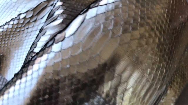 Натуральная кожа питона от BaliSnake.ru смотреть онлайн