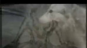 Сказ о волке (на чеченском)