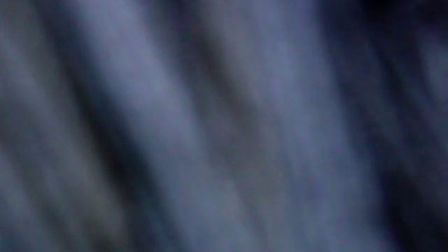 Волосы на голове под микроскопом 800 Х смотреть онлайн