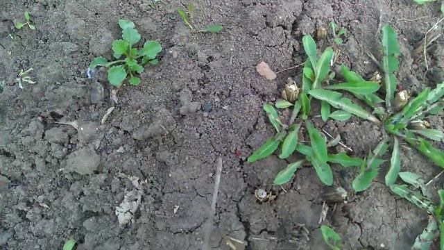 Дача 19-20 апреля. смотреть онлайн