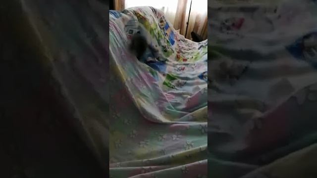 video_9@06-09-2020_12-29-56.mp4 смотреть онлайн